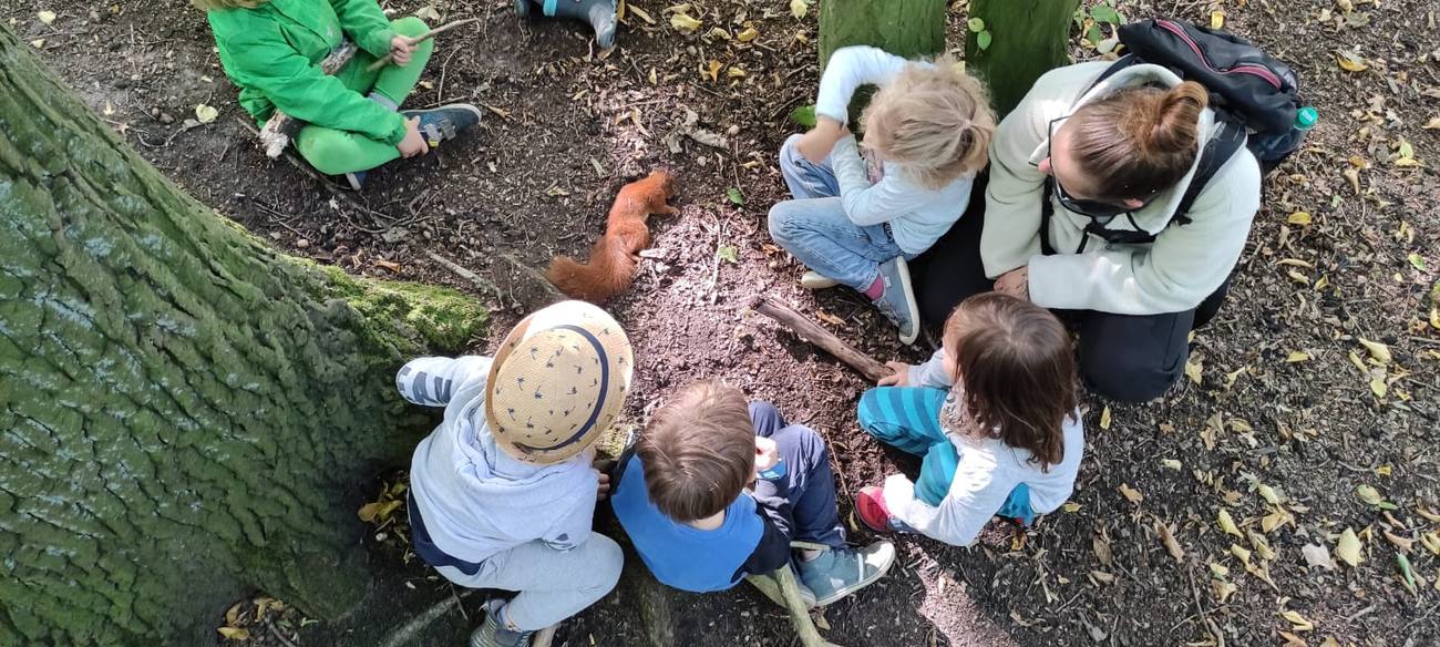 Waldpädagogik: Kinder beobachten ein Eichhörnchen im Wald
